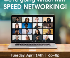 Virtual Speed Networking