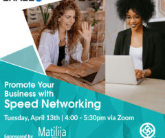 Speed Networking